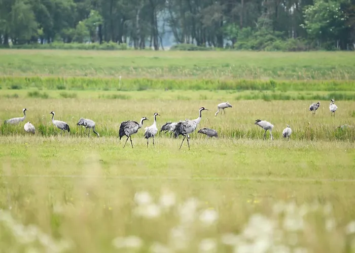 Duenenquartier - 3 Obergeschoss Mit Ostseeblick - 600m Zum *